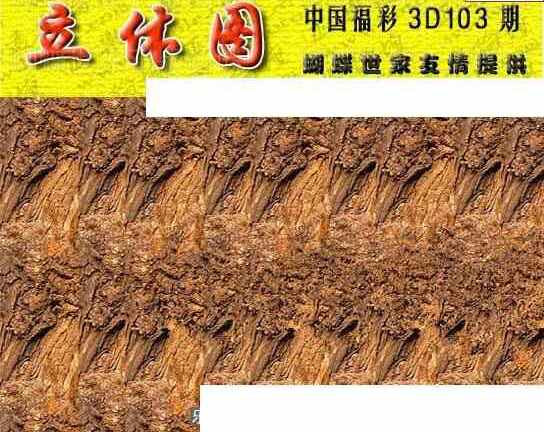 24103期: 3D蝴蝶世家蝴蝶彩图