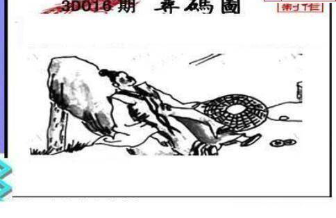 25016期: 三毛3D精品图谜