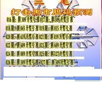 26027期: 三毛3D精品图谜