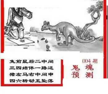 26004期: 三毛3D精品图谜