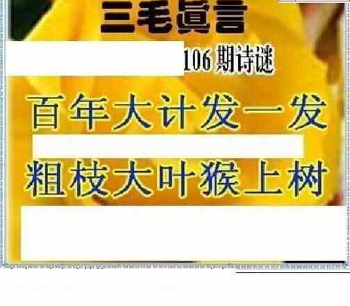 24106期: 三毛3D精品图谜