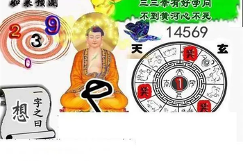 26106期: 白老3D杀码图版