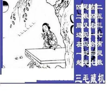 26072期: 三毛3D精品图谜