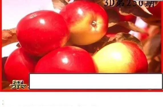 25250期: 白老3D杀码图版