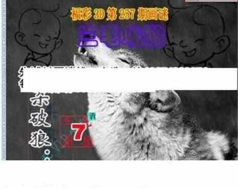 24257期: 三毛3D精品图谜