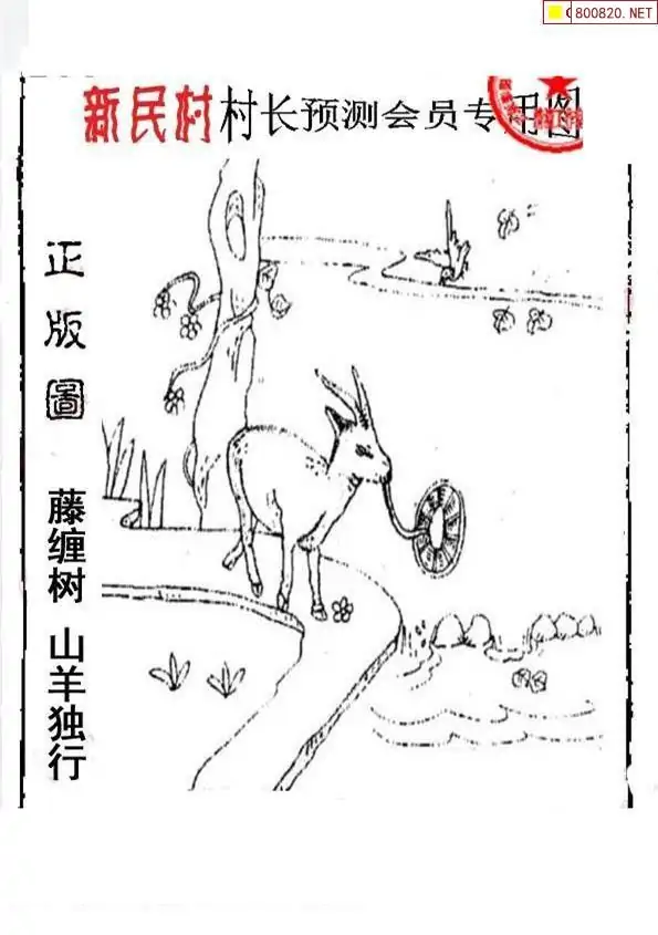 25185期: 老村长福彩3D天天图谜