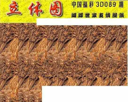 24089期: 3D蝴蝶世家蝴蝶彩图