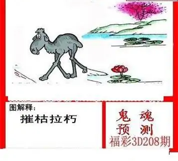 25208期: 白老3D杀码图版