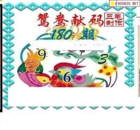 25180期: 三毛3D精品图谜