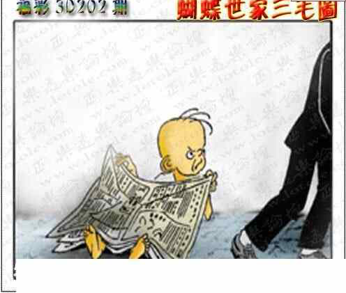 24202期: 3D蝴蝶世家蝴蝶彩图