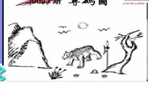 24093期: 三毛3D精品图谜