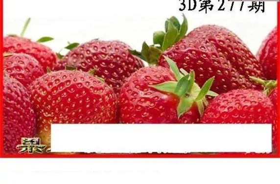 25277期: 白老3D杀码图版