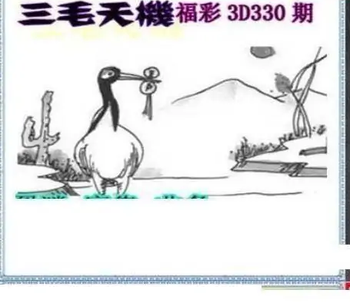 25330期: 三毛3D精品图谜