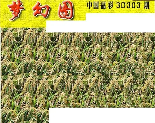25303期: 3D蝴蝶世家蝴蝶彩图