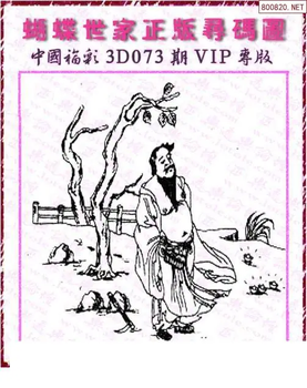 26073期: 3D蝴蝶世家蝴蝶彩图