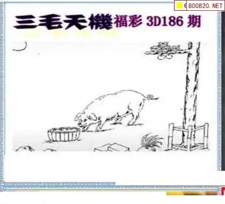 25186期: 三毛3D精品图谜