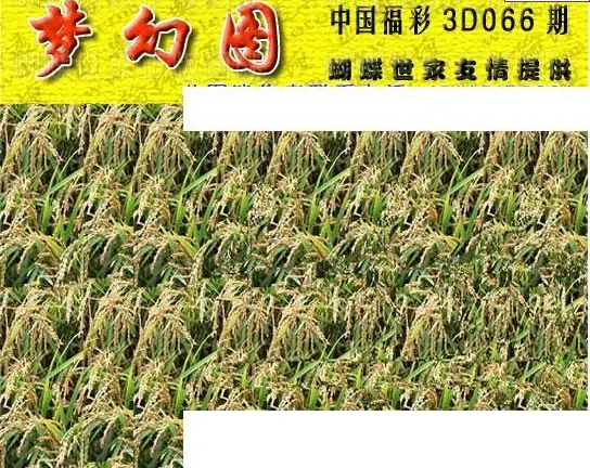 25066期: 3D蝴蝶世家蝴蝶彩图