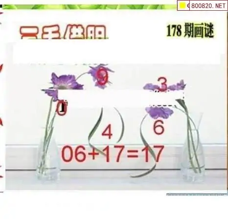 25178期: 三毛3D精品图谜