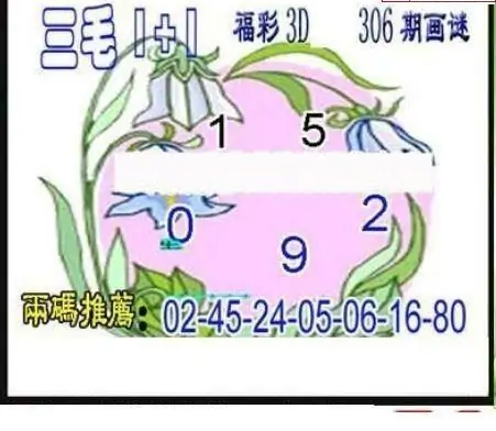25306期: 三毛3D精品图谜