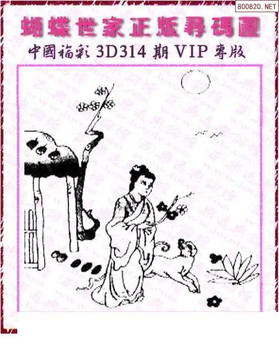 25314期: 3D蝴蝶世家蝴蝶彩图