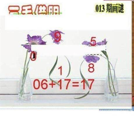 25013期: 三毛3D精品图谜