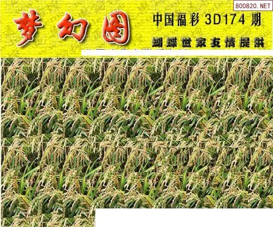 25174期: 3D蝴蝶世家蝴蝶彩图