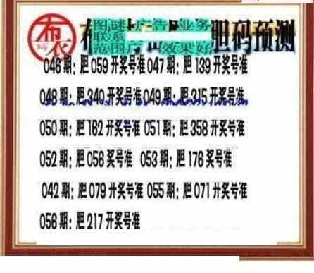 25056期: 三毛3D精品图谜