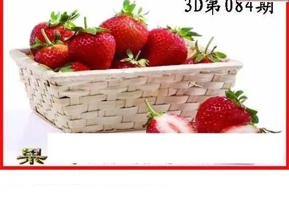 25084期: 白老3D杀码图版