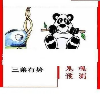 26062期: 白老3D杀码图版