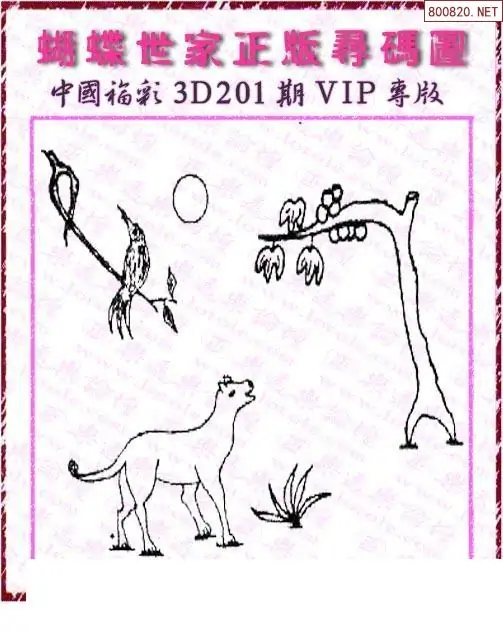 25201期: 3D蝴蝶世家蝴蝶彩图