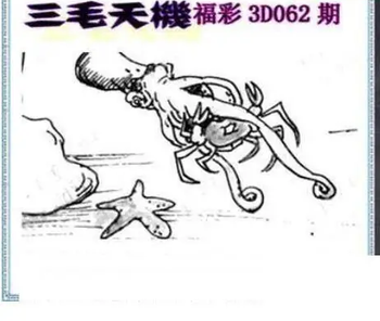 26062期: 三毛3D精品图谜