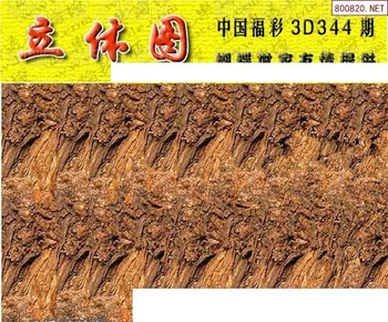 25344期: 3D蝴蝶世家蝴蝶彩图