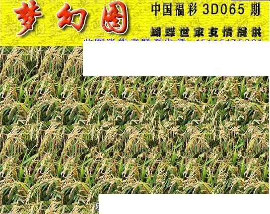 25065期: 3D蝴蝶世家蝴蝶彩图