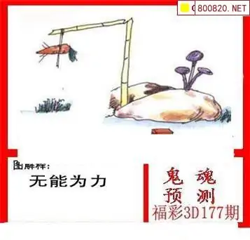 25177期: 白老3D杀码图版