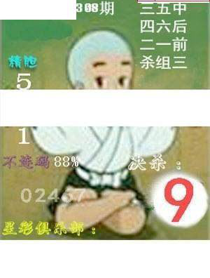 24308期: 白老3D杀码图版