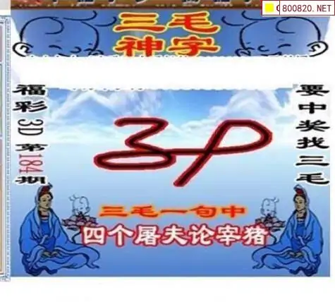 25184期: 三毛3D精品图谜