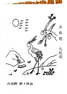 26075期: 老村长福彩3D天天图谜