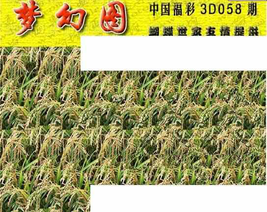 25058期: 3D蝴蝶世家蝴蝶彩图