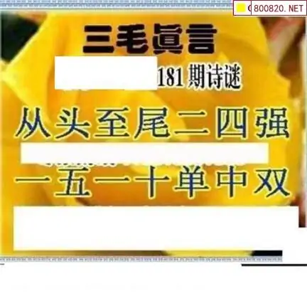 25181期: 三毛3D精品图谜