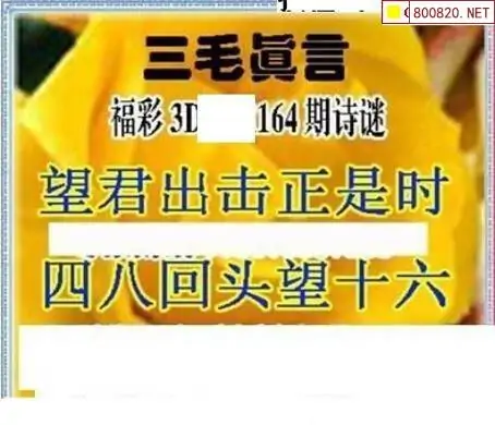 25164期: 三毛3D精品图谜