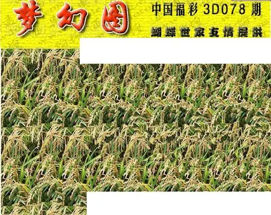 25078期: 3D蝴蝶世家蝴蝶彩图