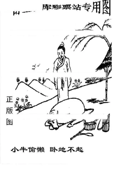 26014期: 老村长福彩3D天天图谜