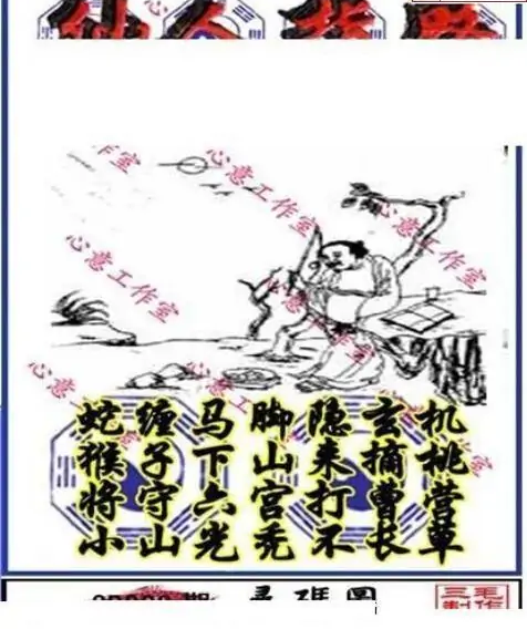 25228期: 三毛3D精品图谜