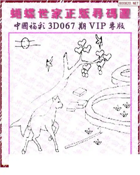 26067期: 3D蝴蝶世家蝴蝶彩图