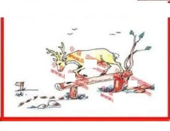 25096期: 福彩3D丹东全图分析