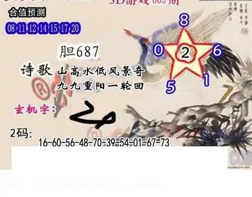 25065期: 白老3D杀码图版