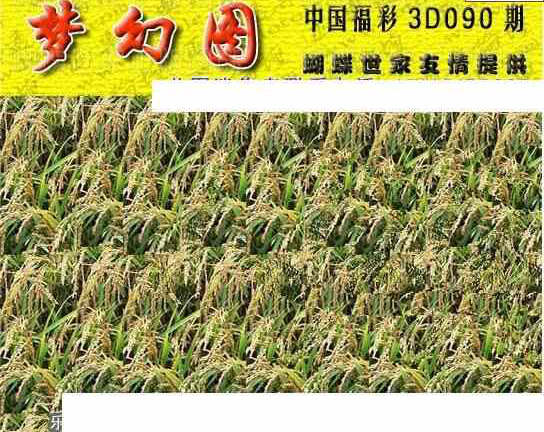 24090期: 3D蝴蝶世家蝴蝶彩图