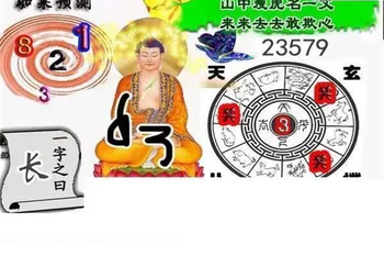 26099期: 白老3D杀码图版