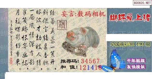 25190期: 3D蝴蝶世家蝴蝶彩图