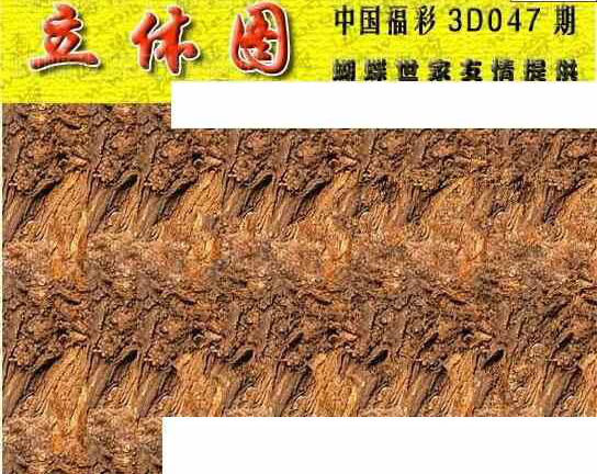 25047期: 3D蝴蝶世家蝴蝶彩图